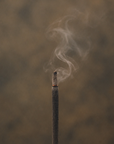 Copal Incense Stems, Set of 30