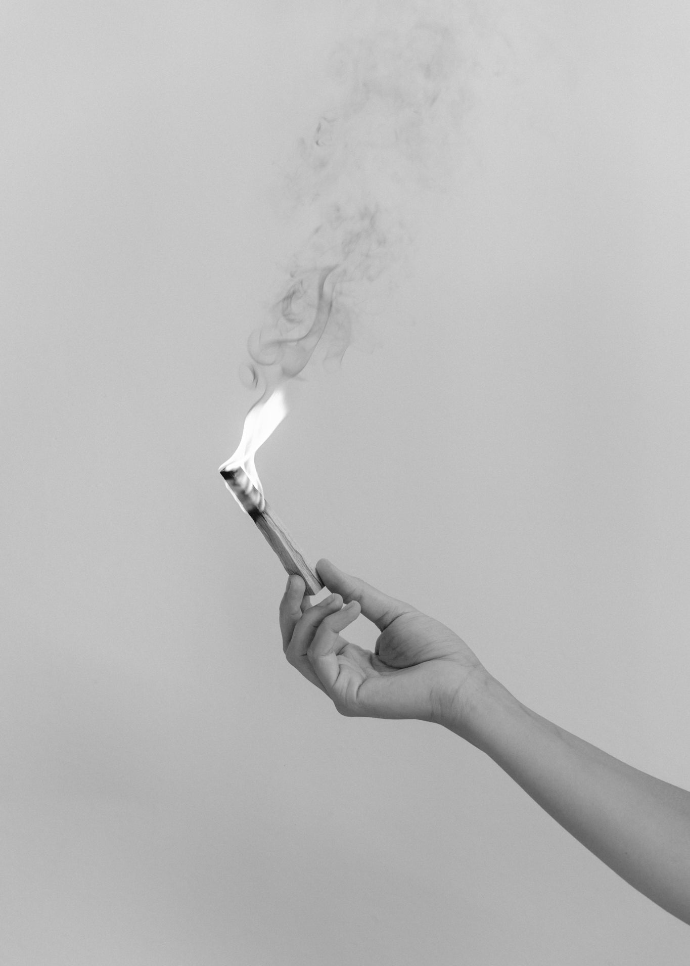 Palo Santo incense sticks, ethically sourced from northern Peru
