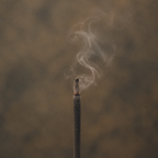 Copal Incense Stems, Set of 20